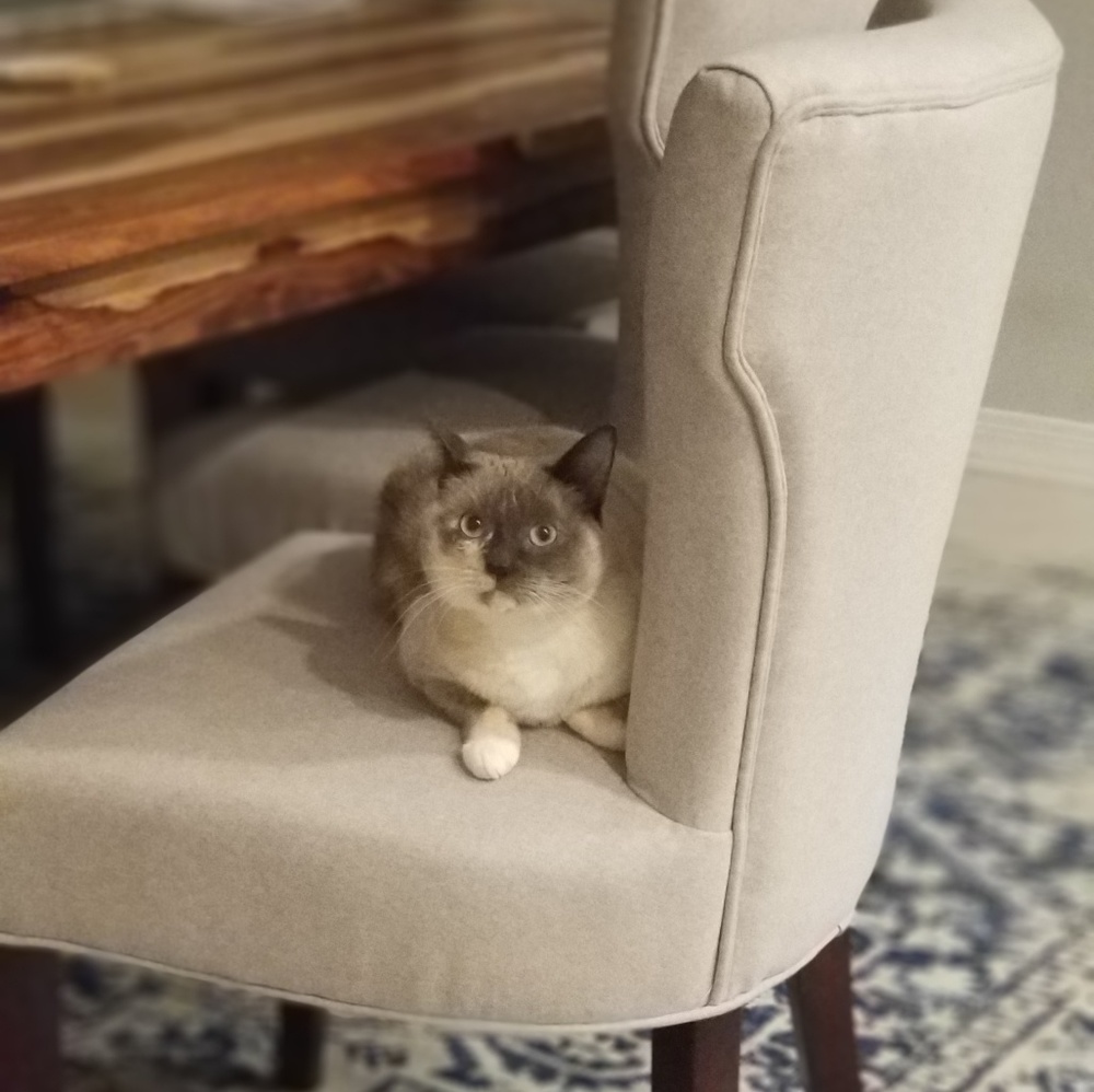 Like this page for updates!